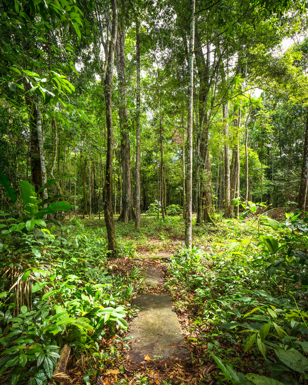 036_Suriname_2013_09170